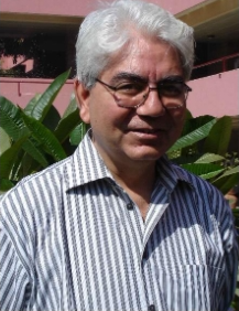 Prof. P. K. Kaw