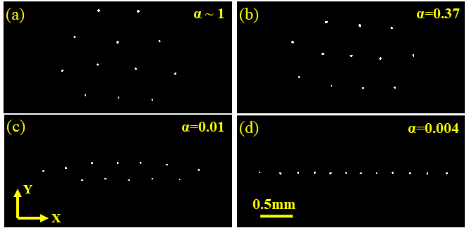 ized dusty plasma crystal observed with the change in the channel width