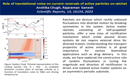 Role of translational noise on current reversals of active particles on ratchet
