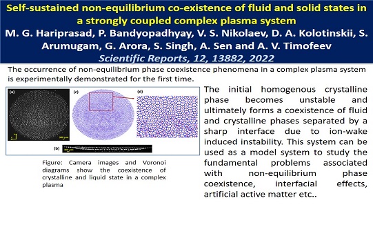 Self-sustained non-equilibrium co-existence of fluid and solid states in a strongly coupled complex plasma system